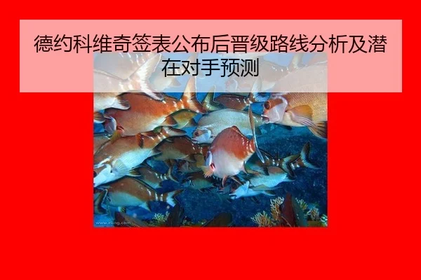de-yue-ke-wei-qi-qian-biao-gong-bu-hou-jin-ji-lu-xian-fen-xi-ji-qian-zai-dui-shou-yu-ce-1-650.jpg